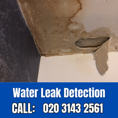 Expert Water Leak Detection Services in New Southgate | New Southgate Leak Detection